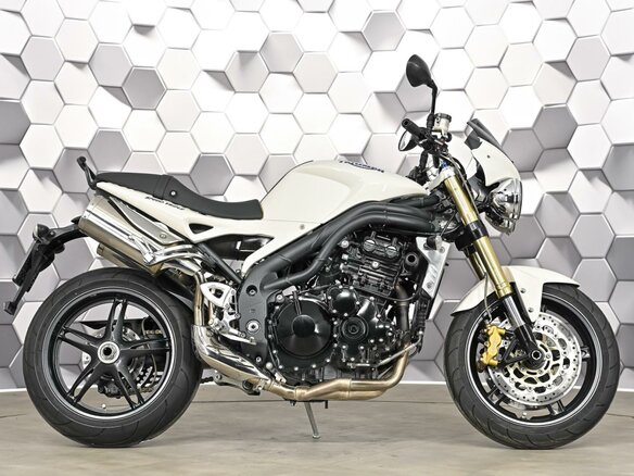 2008 Triumph Speed Triple, серый, 469000 рублей - вид 2