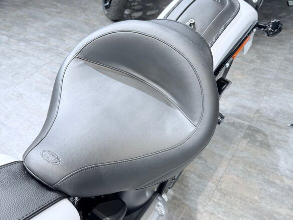 2011 Harley-Davidson Fat Boy, белый, 1399000 рублей - вид 27