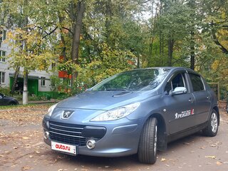 2006 Peugeot 307 I Рестайлинг, серый, 400000 рублей, вид 1