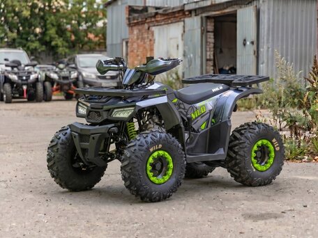 2026 Motoland Wild 125, белый, 105800 рублей, вид 1