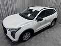 2024 Haval Jolion I Рестайлинг, белый, 2085000 рублей - вид 7