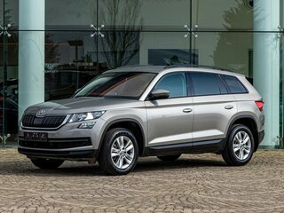 2020 Skoda Kodiaq I, серый, 2495000 рублей, вид 1