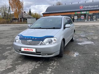 2002 Toyota Allex I Рестайлинг, серый, 550000 рублей, вид 1