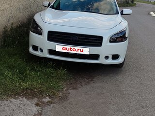 2010 Nissan Maxima VII (A35), белый, 1100000 рублей, вид 2