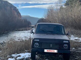 1995 Lada (ВАЗ) 2121 (4x4) I Рестайлинг, красный, 200000 рублей, вид 3