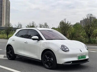 2023 Ora Good Cat 46 kWh I, белый, 1200000 рублей, вид 3