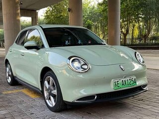 2022 Ora Good Cat 46 kWh I, зелёный, 1205401 рублей, вид 2