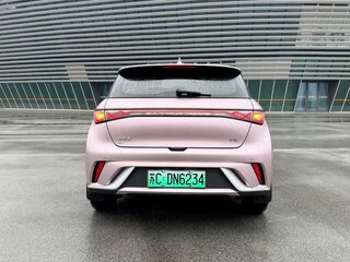 2025 BYD Dolphin 45.12 kWh I Рестайлинг, розовый, 1580000 рублей, вид 4