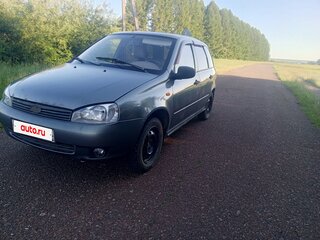 2009 Lada (ВАЗ) Kalina I, серый, 215000 рублей, вид 1