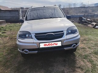 2007 Chevrolet Niva I, серебристый, 520000 рублей, вид 2
