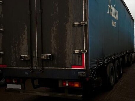 1993 Scania 3-Series, белый, 700000 рублей, вид 5