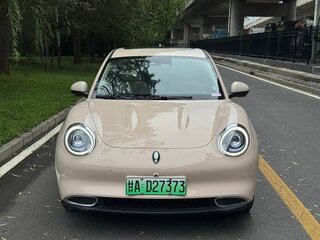 2024 Ora Good Cat 47.8 kWh I, бежевый, 1552000 рублей, вид 2