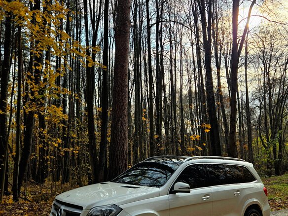 2015 Mercedes-Benz GL-Класс 400 II (X166), белый, 2900000 рублей - вид 4