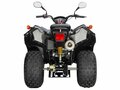 2026 Stels ATV-200 Леопард, чёрный, 250000 рублей - вид 4