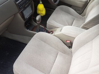 1997 Toyota Camry V40, серый, 420000 рублей, вид 5