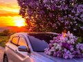 2023 Geely Coolray I, серый, 1300000 рублей - вид 11