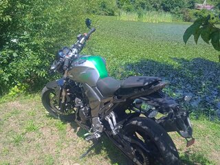 2020 Regulmoto T-Leopard 300, зелёный, 140000 рублей, вид 1