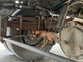 2021 Iveco Daily, белый, 6000000 рублей - вид 2