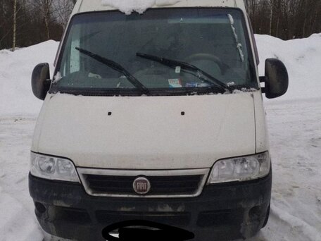 2008 Fiat Professional Ducato, белый, 725000 рублей, вид 1