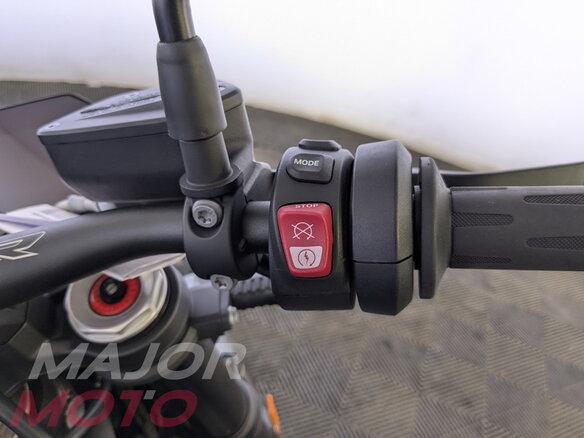 2024 BMW S 1000 R, серый - вид 14