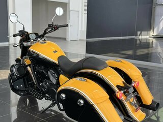 2026 Timpton Bagger, жёлтый, 990000 рублей, вид 2