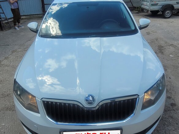2016 Skoda Octavia III (A7), белый, 710000 рублей