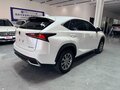 2020 Lexus NX 200 I Рестайлинг, белый, 3115007 рублей - вид 4