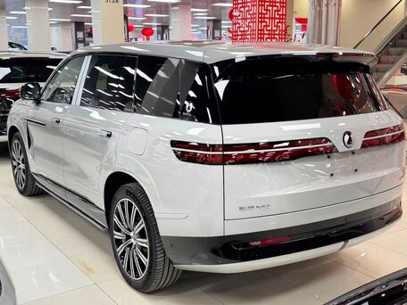 2025 Denza N9 46.9 kWh, серый, 8700000 рублей, вид 3