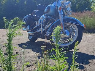 2006 Harley-Davidson Heritage Classic, голубой, 890000 рублей, вид 4