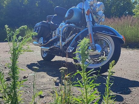 2006 Harley-Davidson Heritage Classic, голубой, 890000 рублей, вид 4