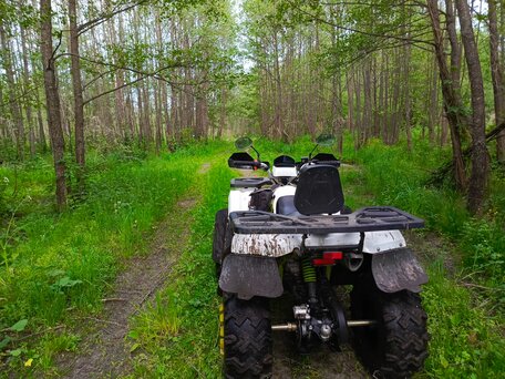 2021 Motoland Wild Track 200, белый, 125000 рублей, вид 5