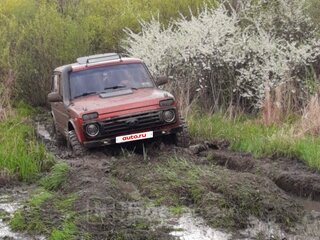 1995 Lada (ВАЗ) 2121 (4x4) I Рестайлинг, красный, 250000 рублей, вид 3