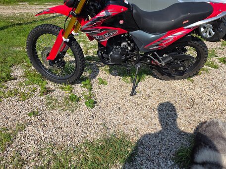 2019 Motoland Enduro 250, красный, 95000 рублей, вид 5