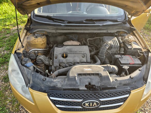 2009 Kia Ceed I, жёлтый, 620000 рублей - вид 7