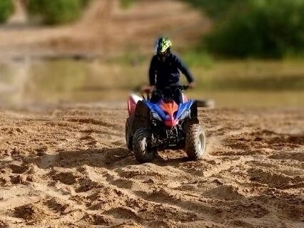 2020 Motoland ATV 125 Shark, синий, 98000 рублей, вид 3
