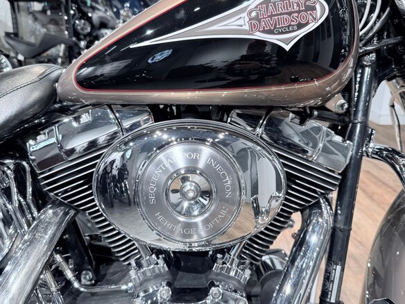 2004 Harley-Davidson Heritage, бежевый, 999000 рублей - вид 21