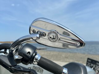 2015 Harley-Davidson Sportster 883, серебристый, 720000 рублей, вид 5