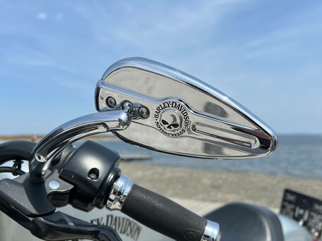 2015 Harley-Davidson Sportster 883, серебристый, 720000 рублей, вид 5