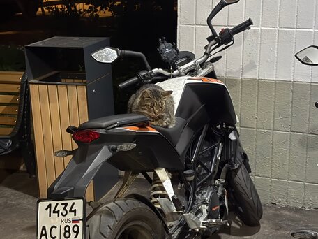 2013 KTM 200 Duke, белый, 199999 рублей, вид 5