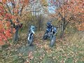 2021 Racer Panther, зелёный, 60000 рублей - вид 1