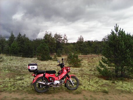 2023 Honda Cross Cub, красный, 290000 рублей, вид 4