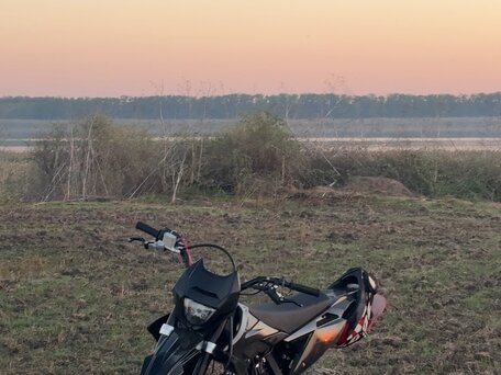 2024 Rmoto Pitbull, чёрный, 57000 рублей, вид 2