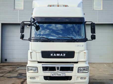 2020 КамАЗ 5490, белый, 2100000 рублей, вид 2