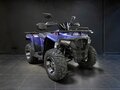 2026 Iride Wolf 300, синий, 233500 рублей