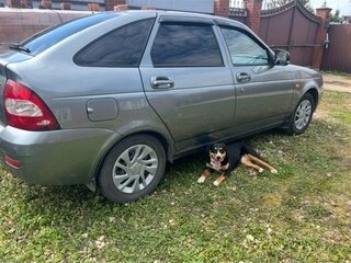 2009 Lada (ВАЗ) Priora I, серый, 220000 рублей, вид 3