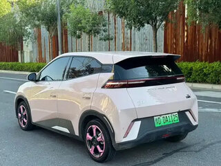 2024 BYD Seagull 38.88 kWh I, розовый, 1030300 рублей, вид 4