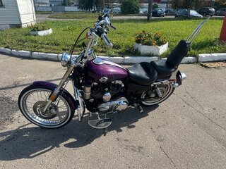 2005 Harley-Davidson Sportster 1200, пурпурный, 565000 рублей, вид 5