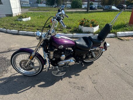 2005 Harley-Davidson Sportster 1200, пурпурный, 565000 рублей, вид 5