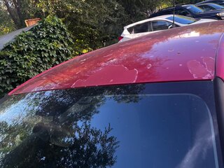 2012 Citroen C4 II, красный, 365000 рублей, вид 5