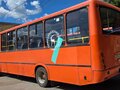 2017 ПАЗ 3204, оранжевый, 800000 рублей - вид 3